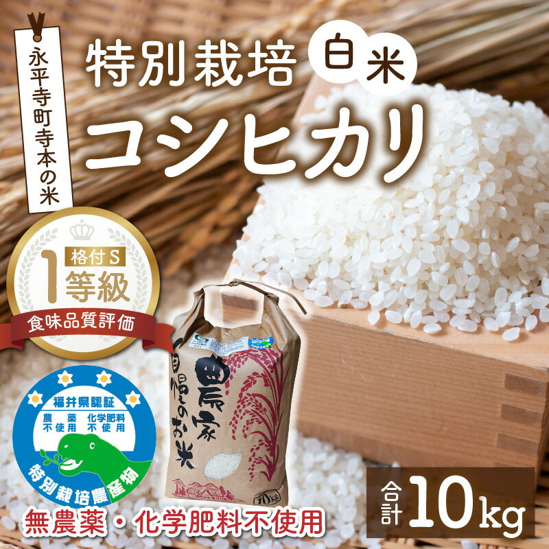 【ふるさと納税】令和5年産 無農薬・化学肥料不使用 永平寺町寺本の米 特別栽培コシヒカリ 白米 10kg / こめ ごはん 精米