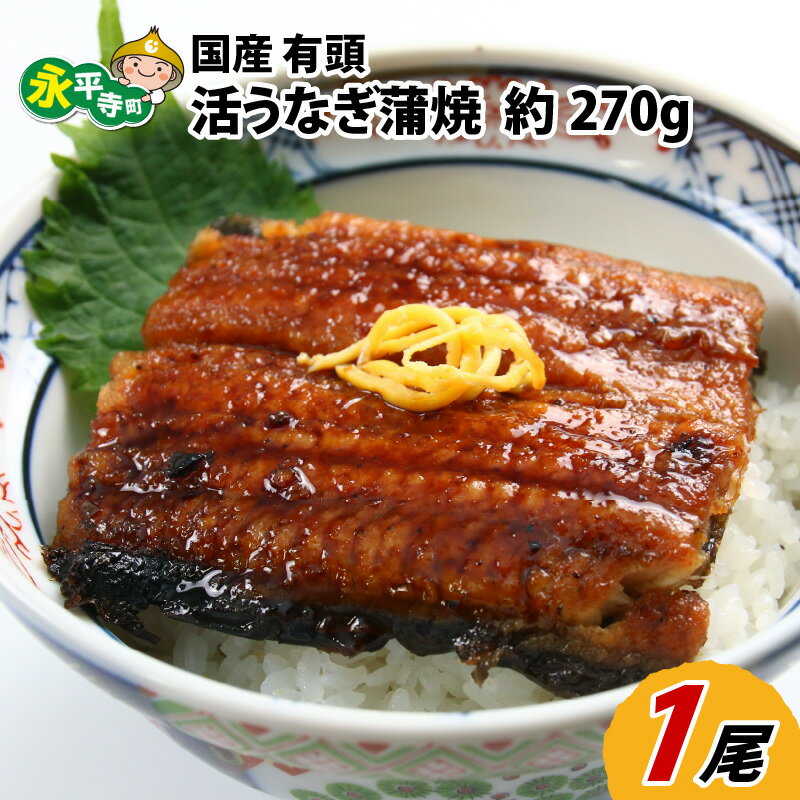 国産 活うなぎ蒲焼 有頭 約270g 1尾 1〜2人前[ご寄付後、発送直前にひとつひとつ手焼き!] / 鰻 ウナギ 丑の日 270グラム