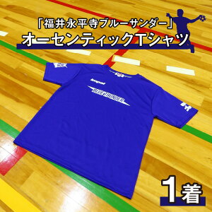 【ふるさと納税】ハンドボールチーム「福井永平寺ブルーサンダー」オーセンティックTシャツ / 永平寺町 ハンドボール 練習着 スポーツ ファッション グッズ 半袖 半袖Tシャツ 半袖シャツ 半そで プラクティスシャツ 青 トレーニング 応援