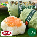 【ふるさと納税】喜ばれる手土産 サクラマスの葉っぱ寿司 3個入り×3箱 マスずし 鱒寿司 ギフト プレゼント お土産 贈り物 贈答 贈答用 3個 3個入り 70...