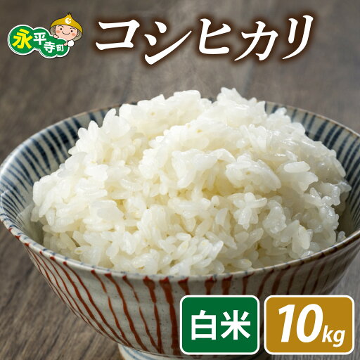 【ふるさと納税】【先行予約】【白米】永平寺町飯島産 コシヒカリ 10kg【2025年10月中旬以降順次発送開始予定】こしひかり 米 10kg 10キロ 福井県 永平寺町 お米 発祥の地 こめ おこめ 精米 ごはん ご飯 白飯 ふるさと 人気 おすすめ 送料無料 産地直送 農家直送 国産米 【ふるさと納税】【先行予約】【白米】永平寺町飯島産 コシヒカリ 10kg【2025年10月中旬以降順次発送開始予定】こしひかり 米 10kg 10キロ 福井県 永平寺町 お米 発祥の地 こめ おこめ 精米 ごはん ご飯 白飯 ふるさと 人気 おすすめ 送料無料 産地直送 農家直送 国産米