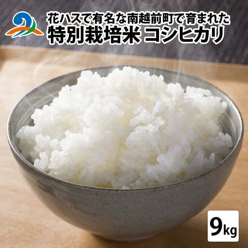 楽天ふるさと納税　【ふるさと納税】令和5年度産 特別栽培米 コシヒカリ 9kg / 国産 精米 白米 ご飯 こめ 南越前町 送料無料