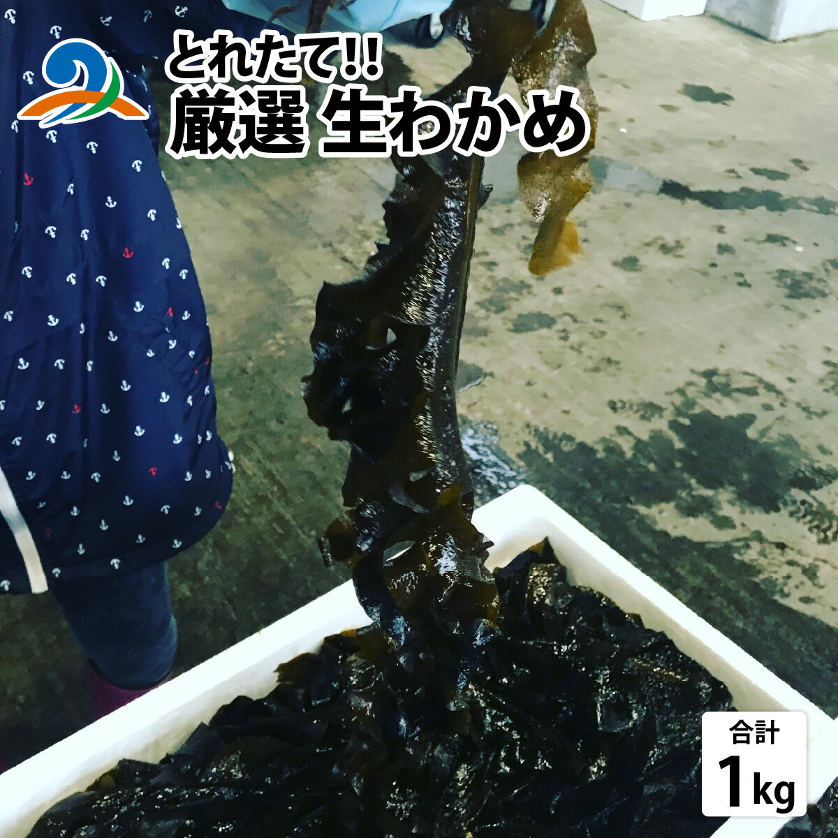 [とれたて!!]厳選生わかめ1.0kg/ 新鮮 お造り 刺身 晩酌 食卓 BBQ 冷蔵 送料無料