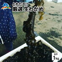 【ふるさと納税】【とれたて!!】厳選生わかめ1.0kg/ 新鮮 お造り 刺身 晩酌 食卓 BBQ 冷蔵 送料無料