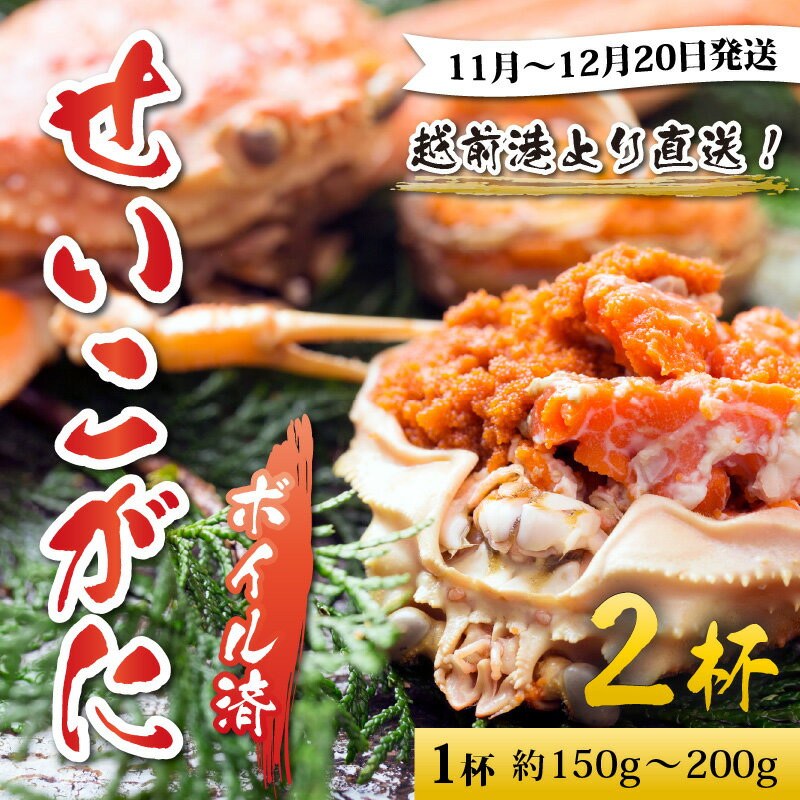 福井県南越前町の画像2