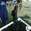 福井県南越前町で3月20日から解禁となる河野産生わかめ。 鮮度が良く、歯ごたえがあり、食べ応え抜群です。 自分の味付けで、干して乾燥わかめを作成したり、 出汁にくぐらせて、わかめのしゃぶしゃぶを楽しんだりと様々です。 お味噌汁や酢の物など、日本人の食生活に馴染み深い食材、わかめ。 わかめにはカリウムやナトリウム、ヨウ素といったミネラル成分と食物繊維がたっぷり含まれています。また、低カロリー・低糖質なのでダイエットや糖質制限をしている方おすすめの食材です。 生わかめの下処理＆茹で方 生わかめは料理の前に下処理＆下茹でを行いましょう。 1．茎付きの生わかめは茎を切り分け、よく水洗いします。 2．鍋にお湯を沸かし沸騰したら茎を先に入れ20秒ほどたってから残りを入れます。 3．軽く湯通しをしたら冷水につけ、しっかり洗いましょう。 長く茹でてしまうとせっかくの生わかめの食感が損なわれてしまいますので注意してください。 生わかめの保存方法 生わかめはそのままだとあまり日持ちはしませんが、冷凍保存が可能です。下処理＆下茹でした生わかめの水をよく切ったら小分けにしフリーザーバッグに入れて冷凍します。そうすることで2～3ヵ月は保存が可能です。 解凍方法はザルに入れお湯をかけるだけ。解凍したらすぐ冷水に取ってから冷まします。 ■さへいが選ばれる理由 1）20年間魚と向き合ってきた『プロの漁師』による目利き 2）水揚げされてから最短30時間ほどで届ける産地直送 3）希少価値が高い天然の魚 4）誰にも負けないお客様を想う熱い心 ■さへいのこだわり 1）安心・安全なお魚を届ける 紫外線滅菌冷水機を使用することで、細菌等の心配もありません。 紫外線滅菌という言葉はあまり聞きなれないような言葉かもしれませんが、紫外線滅菌は古くから研究されており、日本でも1950年代には日本で導入されています。 ～紫外線滅菌の特徴～ 菌に対抗性を作らせない：DNAを破壊された殺菌は生き残れないため、増殖できず対抗性がうまれない 対象物に変化を与えない：食料水や食品原料水などの使用にも適するほどです。 残留しない：化学物質などの残留物質がなく、安心安全です。 越前河野港には、紫外線滅菌装置に冷水装置を組み合わせた紫外線滅菌冷水機が完備されています。 滅菌・水温管理などをおこない、皆様に安心安全な鮮魚をお送りいたします。 2）鮮度を保つことにこだわったクール便 獲れた魚を神経締め・血抜きすることで鮮度を保ち、発送の際には通常の密閉容器ではなく、常に冷気が内部に入る資材を使うことでコストダウンしながら鮮度を保ち続けることができるようにしています。 ※発送する魚の量が多い場合は発泡スチロールでの対応となります 3）最短30時間ほどで届ける産地直送！ 仲買人や市場を介さないので、スーパーで購入するよりも安く、早くお届けできます。 朝に水揚げされた鮮度抜群の鮮魚を産地直送で、即日発送いたしますので、鮮魚が獲れた翌日の午前中には食卓へお届けいたします。 時間にして約30時間。越前河野さへいだからできる、産地直送の新鮮なお魚をお楽しみください。 ※北海道、沖縄県、離島への発送は対応できかねます。予めご了承ください。 4）朝獲れた新鮮なお魚しか扱わない 越前河野さへいは、お客様に新鮮な魚をお届けすることに並々ならぬこだわりを持っています。 そのため、朝獲れたばかりの魚しか発送いたしません！ ■さへいが頑張れる理由 さへいが一番大事にしているのは新鮮なお魚を食べた時のお客様の喜びや笑顔です。 お客様の食卓に並ぶ時のことを考え、最高の状態で召し上がってもらえるよう日々努力しています。 ■越前河野さへいについて 私は、福井県南越前町河野地区にある旅館の息子として生まれ、小さいころから実家の手伝いをしていました。 魚をさばく技術や惣菜に加工する技術はそこで身につけたものです。 その後呉服卸問屋の仕事に就き営業をしていたのですが、兼業で漁師をしていたこともあり、お客さんから「地元でとれる新鮮な魚を手軽に食べたいがなかなか手に入らない」という声をよく聞くようになりました。 私にとっては身近なものであった新鮮な魚。 しかし、なかなか手に入らない人もいるという事実を知り、その時に越前河野さへいの創業を決意。 漁師として20年間良い魚を追い求めてきました。 魚を見る目には絶対の自信があります。 実際に海に出て自分の目で確認し、新鮮でおいしい魚のみを厳選してお客様のところへ届けています。 また、周りの若い仲間たちも積極的に協力してくれ、担い手の少ない漁師業界を盛り上げております。 地元の新鮮な魚を獲れたての鮮度そのままで全国にお届けしたい！その想いを胸に毎日魚を獲りつづけています。 【保有資格・実績について】 調理師免許 小型船舶2級 県内取引先：60店舗以上 県外取引先：20店舗以上 【注意事項】 ※北海道、沖縄県、離島への発送は対応できかねます。 ※日時指定可能です。 基本的に朝どれ限定なので日にち指定をしていただいても、 天候や潮回りによって出荷ができない時があるため、日にち指定通りに納品できない可能性もございます。 希望日を備考欄に書いていただければ、対応させていただきます。 (シケや定置網のため魚がない時もあるので、希望日に添えない可能性もあります) ※GW/お盆/年末年始休業日は発送までの日数には含まれません。 商品詳細 名称 【とれたて！！】厳選生わかめ2.0kg 内容量 生わかめ2.0kg 配送方法 冷蔵 賞味期限 到着日より3日以内 消費期限 到着日より3日以内 事業者 越前河野 さへい 本製品には以下のアレルギー物質が含まれています。【ふるさと納税】【とれたて！！】厳選生わかめ2.0kg／ 新鮮 お造り 刺身 晩酌 食卓 BBQ [B-018004]