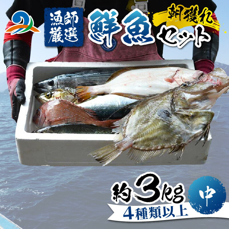 [朝獲り]漁師厳選 鮮魚セット (中) 4種類以上 約3kg / 魚 詰め合わせ 新鮮 煮物 焼き物 お造り 刺身 晩酌 食卓 漁師BBQ 冷蔵 送料無料