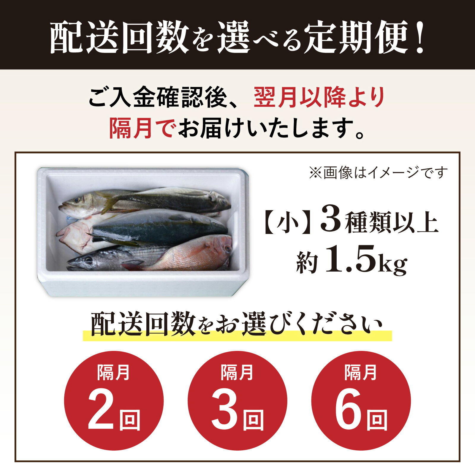 【ふるさと納税】【選べる定期便　隔月2～6回】【朝獲り】漁師厳選 鮮魚セット (小) 3種類以上 約1.5kg ／ 魚 詰め合わせ 新鮮 煮物 焼き物 お造り 刺身 晩酌 食卓 漁師BBQ 冷蔵 隔月 送料無料