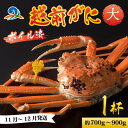 【ふるさと納税】越前港より直送！ 越前がに 大 (約700g～900g) 1杯 / 雄 ズワイガニ ずわいがに ズワイ蟹 越前ガニ ボイル 冷蔵 ご自宅用 カニ しゃぶしゃぶ 海鮮 カニすき カニ鍋 カニしゃぶ かに 国産 南越前町 送料無料