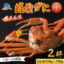 【ふるさと納税】【先行予約】越前港より直送！ 越前がに 中 (約550g～700g) 2杯 【1月～3月発送予定】 / 雄 ズワイガニ ずわいがに ズワイ蟹 越前ガニ ボイル 冷蔵 ご自宅用 カニ しゃぶしゃぶ 海鮮 カニすき カニ鍋 カニしゃぶ かに 国産 南越前町 送料無料