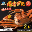 【ふるさと納税】【先行予約】越前港より直送！ 越前がに 大 (約1kg～1.2kg) 2杯 【1月～3月発送予定】 / 雄 ズワイガニ ずわいがに ズワイ蟹 越前ガニ ボイル 冷蔵 ご自宅用 カニ しゃぶしゃぶ 海鮮 カニすき カニ鍋 カニしゃぶ かに 国産 南越前町 送料無料