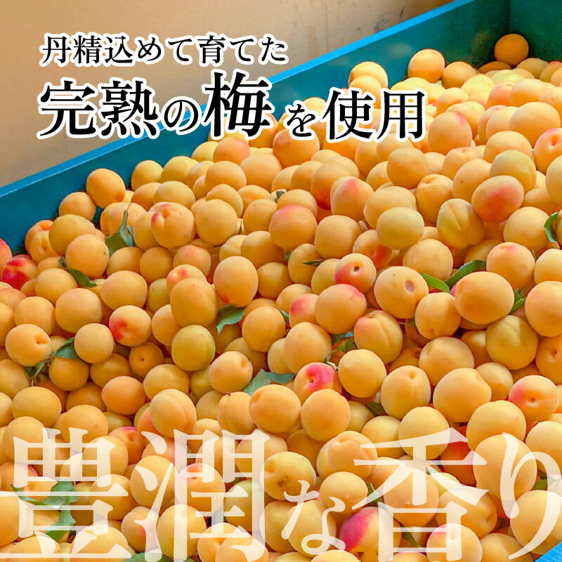 福井県南越前町の画像3