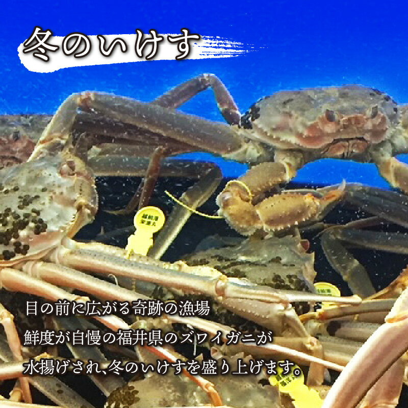 【ふるさと納税】【先行予約】【10月までの受付分のみ対象】越前がに 中 （約600g～750g） 1杯 【2025年11月中旬より順次発送】/ 雄 ズワイガニ ずわいがに ズワイ蟹 越前ガニ ボイル 冷蔵 ご自宅用 カニ しゃぶしゃぶ 海鮮 カニ鍋 カニしゃぶ かに 国産 南越前町 送料無料