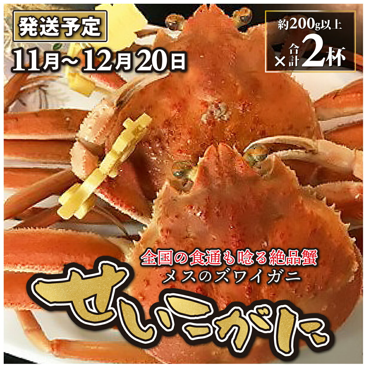せいこがに 2杯/ セイコガニ せいこ蟹 セコガニ 雌 ずわいがに ズワイ蟹 越前ガニ ボイル 冷蔵 ご自宅用 カニ しゃぶしゃぶ 海鮮 カニすき カニ鍋 カニしゃぶ かに 国産 南越前町 送料無料