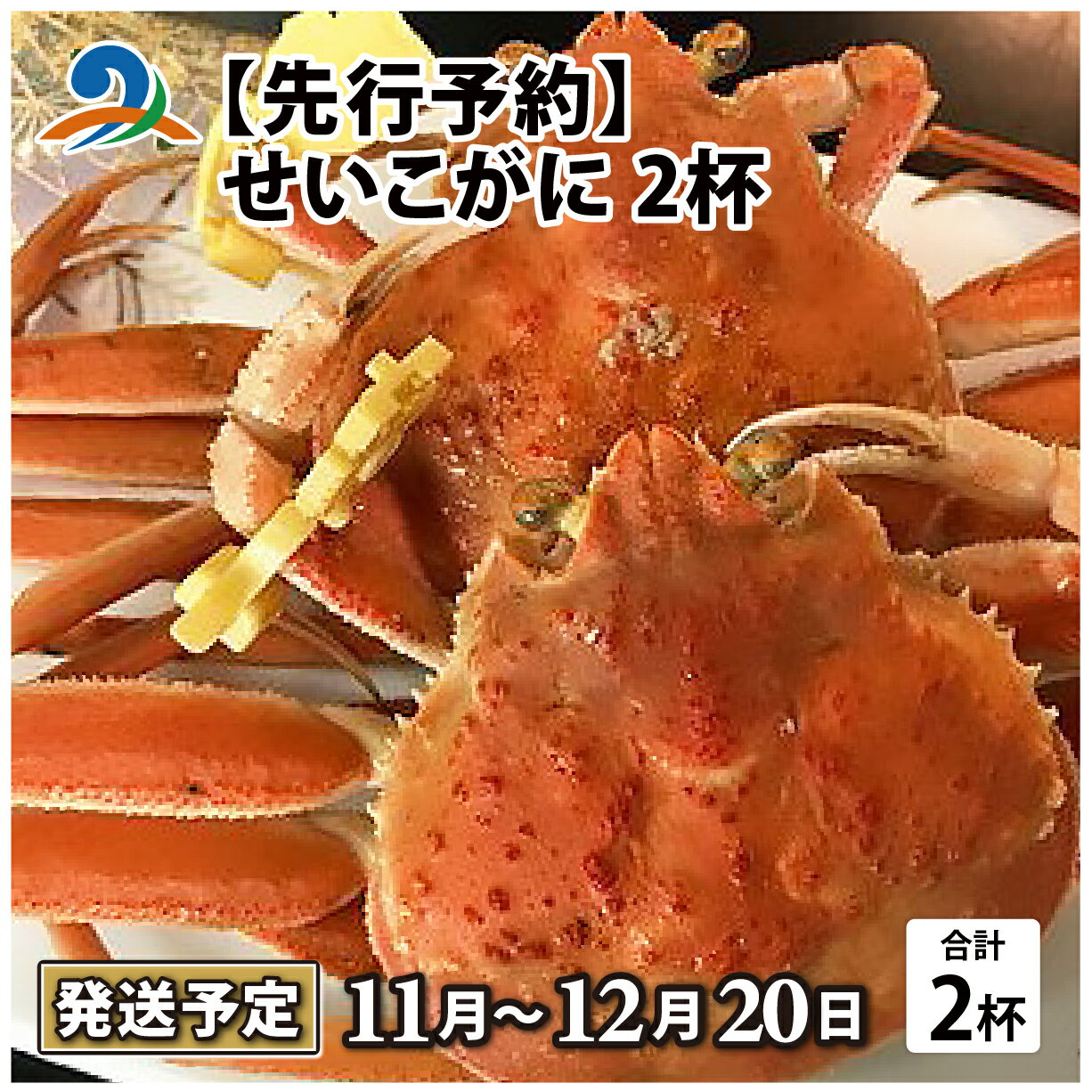 【ふるさと納税】【先行予約】せいこがに 2杯/ セイコガニ せいこ蟹 セコガニ 雌 ずわいがに ズワイ蟹 越前ガニ ボイル 冷蔵 ご自宅用 カニ しゃぶしゃぶ 海鮮 カニすき カニ鍋 カニしゃぶ かに 国産 南越前町 送料無料