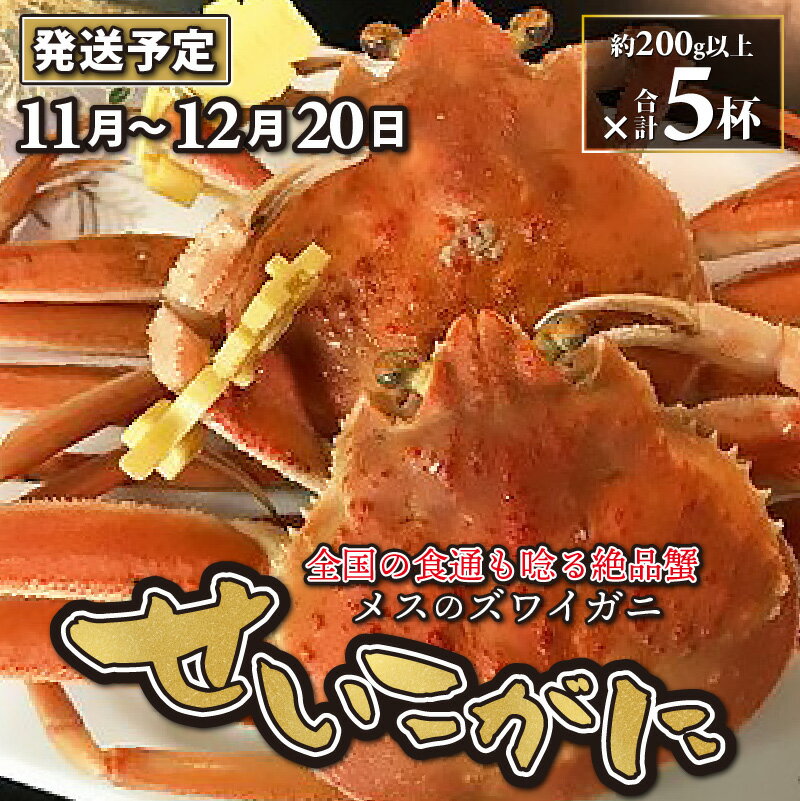 せいこがに 5杯/ セイコガニ せいこ蟹 セコガニ 雌 ずわいがに ズワイ蟹 越前ガニ ボイル 冷蔵 ご自宅用 カニ しゃぶしゃぶ 海鮮 カニすき カニ鍋 カニしゃぶ かに 国産 南越前町 送料無料