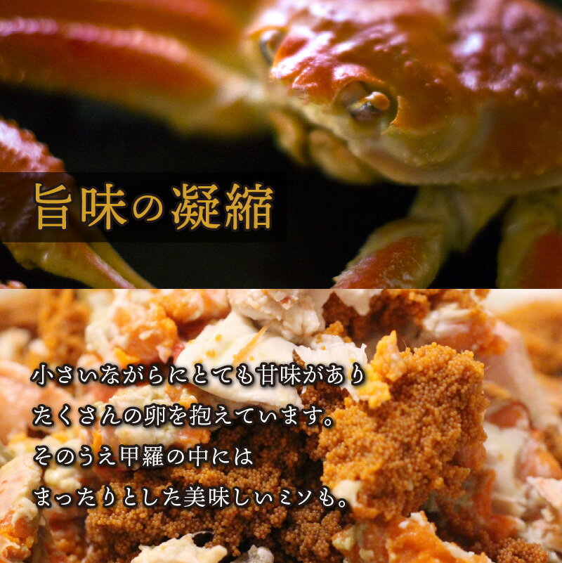 福井県南越前町の画像3