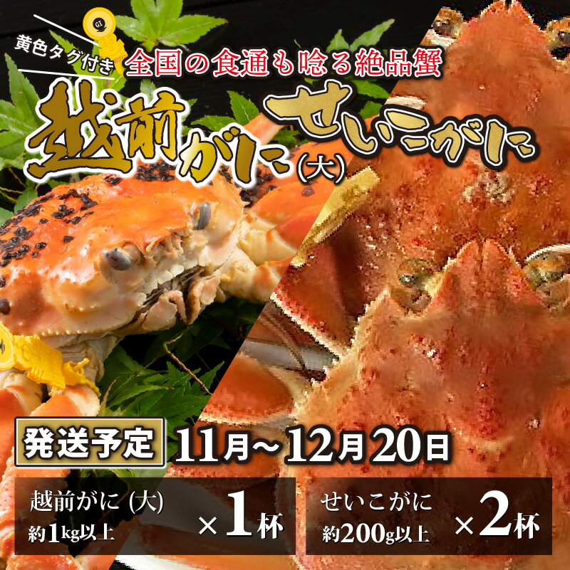 越前がに 大 (1kg以上) 1杯 ・せいこがに 2杯 [11月〜12月20日発送予定]/ 雄 雌 ズワイガニ ずわいがに ズワイ蟹 セイコガニ せいこ蟹 セコガニ 越前ガニ ボイル 冷蔵 ご自宅用 カニ かに 国産 南越前町 送料無料