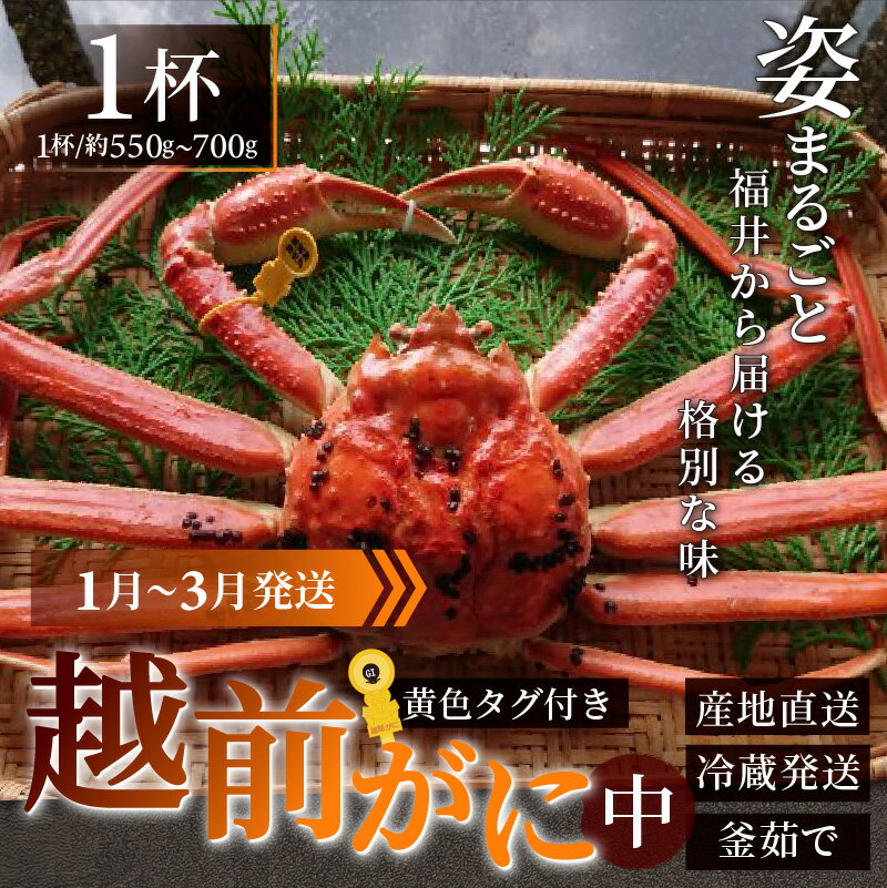 福井県南越前町の画像3