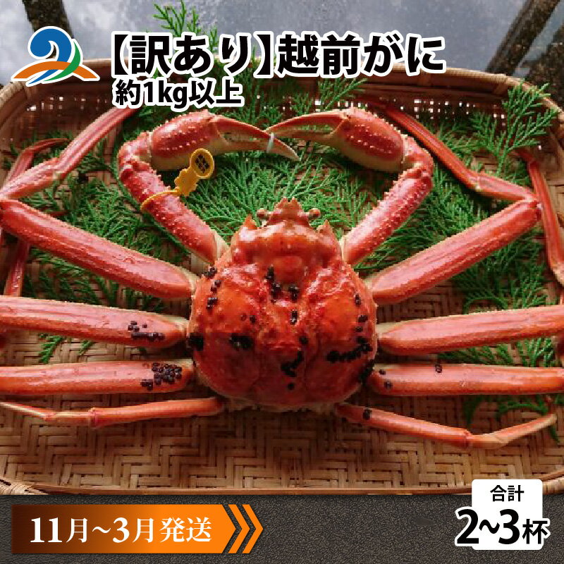 【ふるさと納税】【先行予約】【訳あり】 越前がに 合計1kg以上(2〜3杯)【11月〜3月発送】 / 雄 ズワイガニ ずわいがに ズワイ蟹 越前ガニ ボイル 冷...