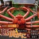福井県南越前町の画像3