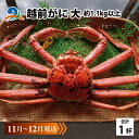 11位! 口コミ数「0件」評価「0」【先行予約】越前がに 大 (約1.1kg以上)×1杯 【11月~12月発送】/ 雄 ズワイガニ ずわいがに ズワイ蟹 越前ガニ ボイル 冷蔵 ご自宅用 カニ しゃぶしゃぶ 海鮮 カニすき カニ鍋 カニ・・・