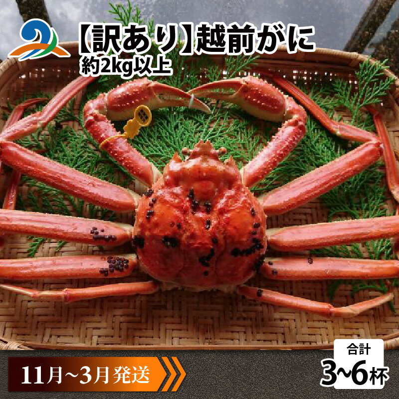 【ふるさと納税】【先行予約】【訳あり】 越前がに 合計2kg以上(3〜6杯)【11月〜3月発送】 / 雄 ズワイガニ ずわいがに ズワイ蟹 越前ガニ ボイル 冷...