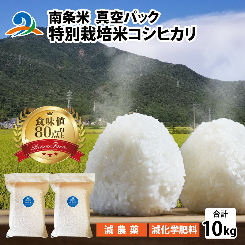 【ふるさと納税】【令和5年産】南条米 特別栽培米コシヒカリ 