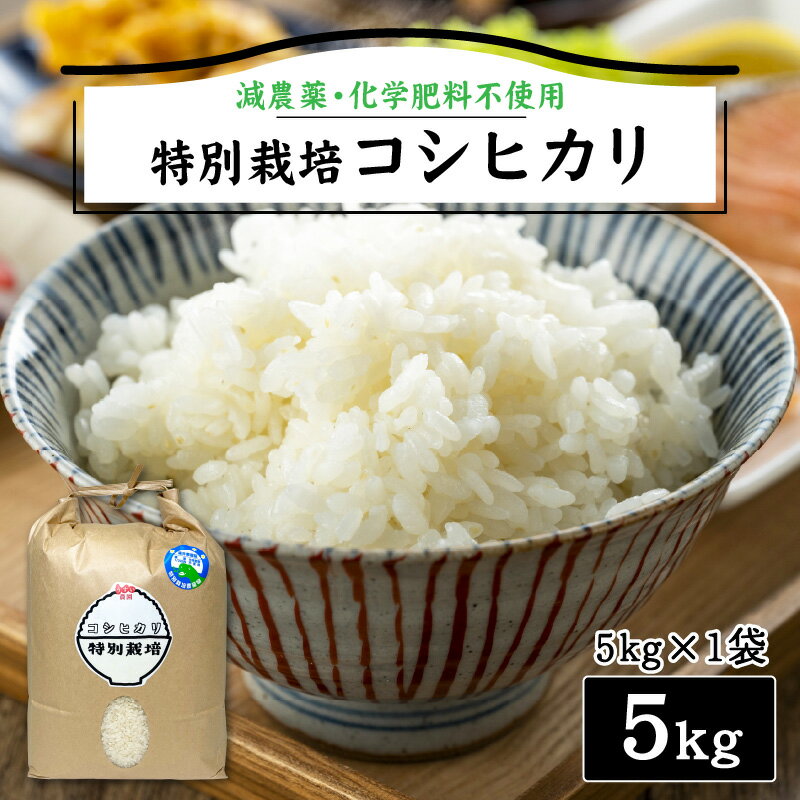 【ふるさと納税】減農薬・化学肥料不使用 特別栽培コシヒカリ 5kg×1袋（計5kg） / 南越前町 送料無料