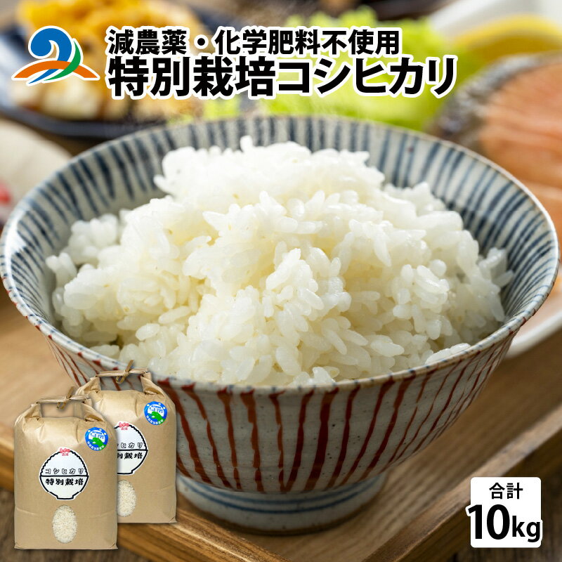 10位! 口コミ数「0件」評価「0」減農薬・化学肥料不使用 特別栽培コシヒカリ 5kg×2袋（計10kg） / 南越前町 送料無料