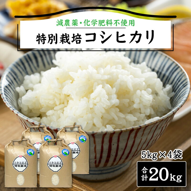 【ふるさと納税】減農薬・化学肥料不使用 特別栽培コシヒカリ 5kg×4袋（計20kg） / 南越前町 送料無料