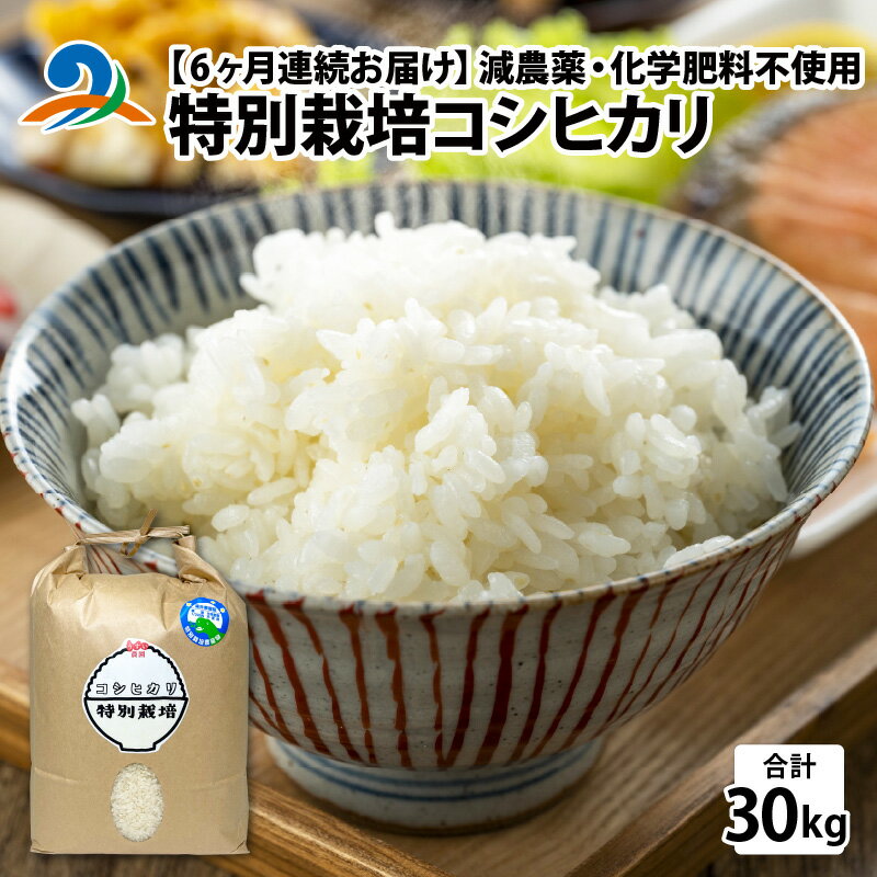 12位! 口コミ数「0件」評価「0」【6ヶ月連続お届け】減農薬・化学肥料不使用 特別栽培コシヒカリ 5kg×1袋×6ヶ月（計30kg）/ 南越前町 送料無料