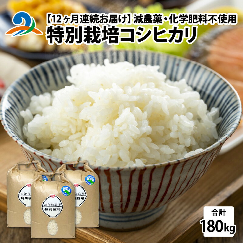 4位! 口コミ数「0件」評価「0」【12ヶ月連続お届け】減農薬・化学肥料不使用 特別栽培コシヒカリ 5kg×3袋×12ヶ月（計180kg）/ 南越前町 送料無料