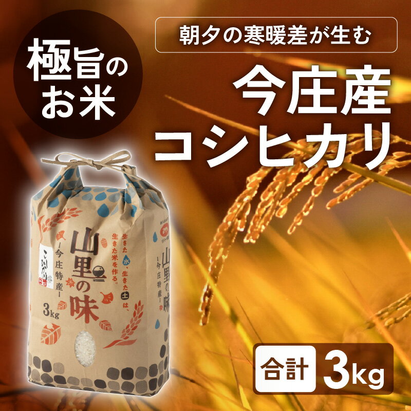 【ふるさと納税】朝夕の寒暖差が生む極旨のお米 今庄産 コシヒカリ 3kg / コシヒカリ 南越前町 精米 送料無料