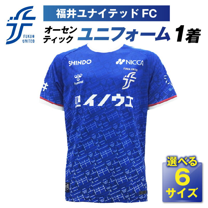 【ふるさと納税】 福井ユナイテッドFCオーセンティックユニフォーム / サッカー ユニフォーム ユニホーム スポーツ 半袖 半そで ゲームシャツ オーセンティック グッズ オフィシャル サポーター 応援 福井ユナイテッドFC 福井県