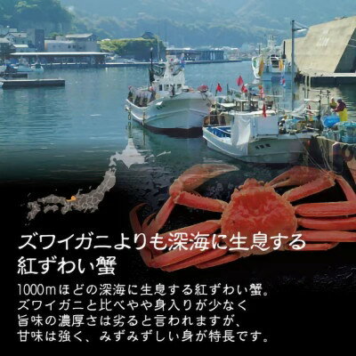 【ふるさと納税】紅ずわい蟹 甲羅盛り2個（越前産）この道50年の職人が選びました！【紅ずわいがに 紅ズワイガニ 紅ズワイ かに カニ 蟹 むき身 冷凍 福井県】