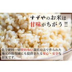 【ふるさと納税】【玄米5kg】【令和3年産】福井県越前町産こしひかり【1255329】 画像1