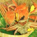 【ふるさと納税】「越前がに」「この道50年の職人が選ぶ」浜茹...