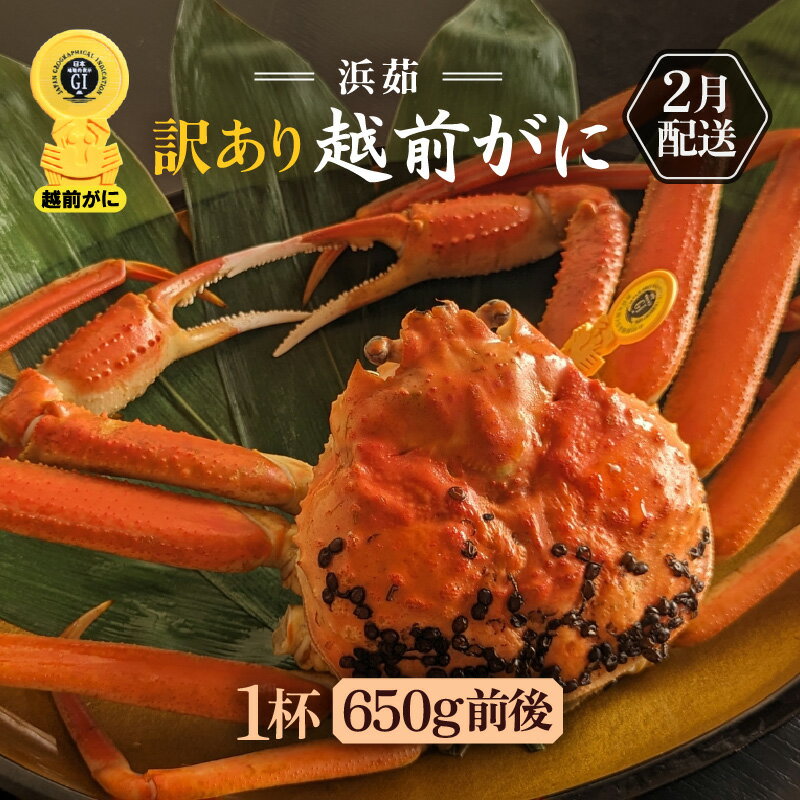 【ふるさと納税】【訳あり】≪浜茹で≫越前がに 1杯（生で1杯650g前後）大人約2人前 食べ応え充分【規格外 雄 ズワイガニ かに カニ 蟹 越前ガニ 姿 ボイル 冷蔵 福井県】【2月発送分】希望日指定可 備考欄に希望日をご記入ください [e65-x001_02]