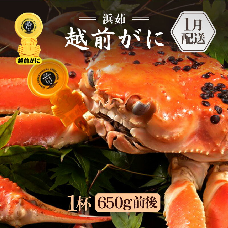 ڤդ뤵Ǽǡۢ觤Ǣ 1ա1700g2 ٱʬ ͺ 磻      ܥ ¢ ʡ温...