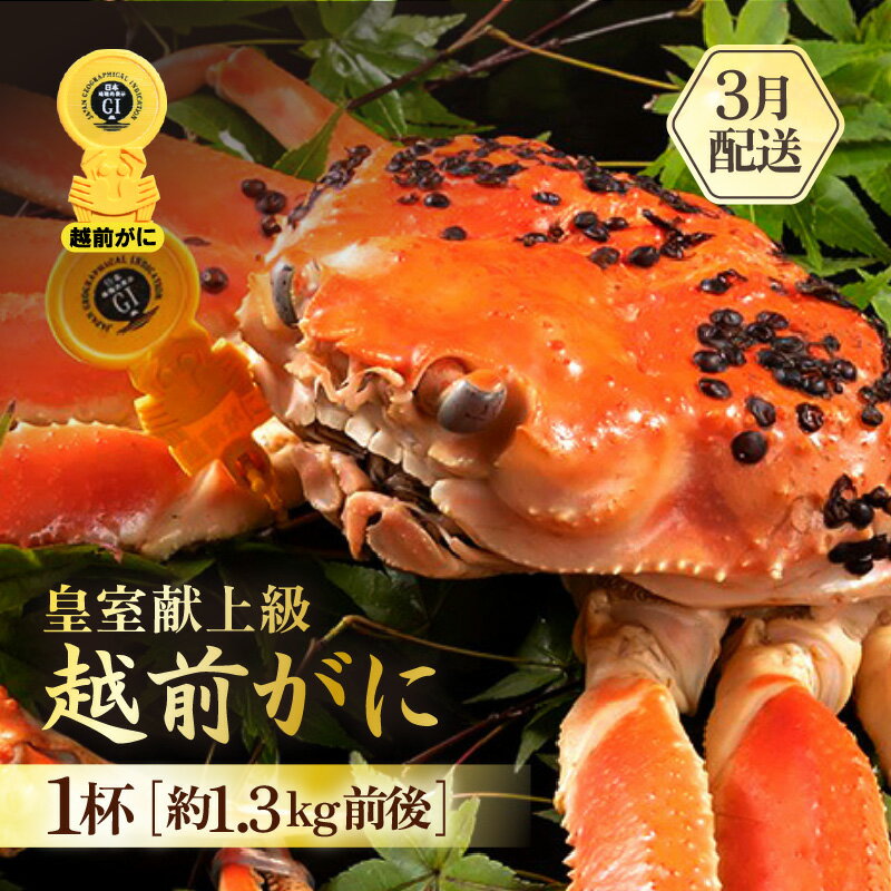 【ふるさと納税】≪浜茹で≫越前がに 超特 皇室献上級 1杯（約1.3kg前後）大人約2人前 食べ応え充分【雄 ズワイガニ かに カニ 蟹 越前ガニ 姿 ボイル 冷蔵 福井県】【3月発送分】希望日指定可 備考欄に希望日をご記入ください [e65-x005_03]