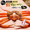 【ふるさと納税】【訳あり】≪浜茹で≫越前産 紅ずわいがに × 1杯(生で約880g~1kg)【紅ズワイガニ カニ かに 蟹】【紅ずわいがに】【6月発送分】