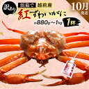 【ふるさと納税】【訳あり】≪浜茹で≫越前産 紅ずわいがに × 1杯(生で約880g~1kg)【紅ズワイガニ カニ かに 蟹】【紅ずわいがに】【10月発送分】
