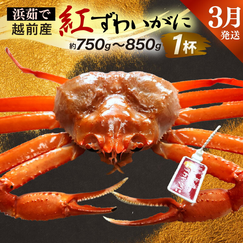 福井県越前町の画像2