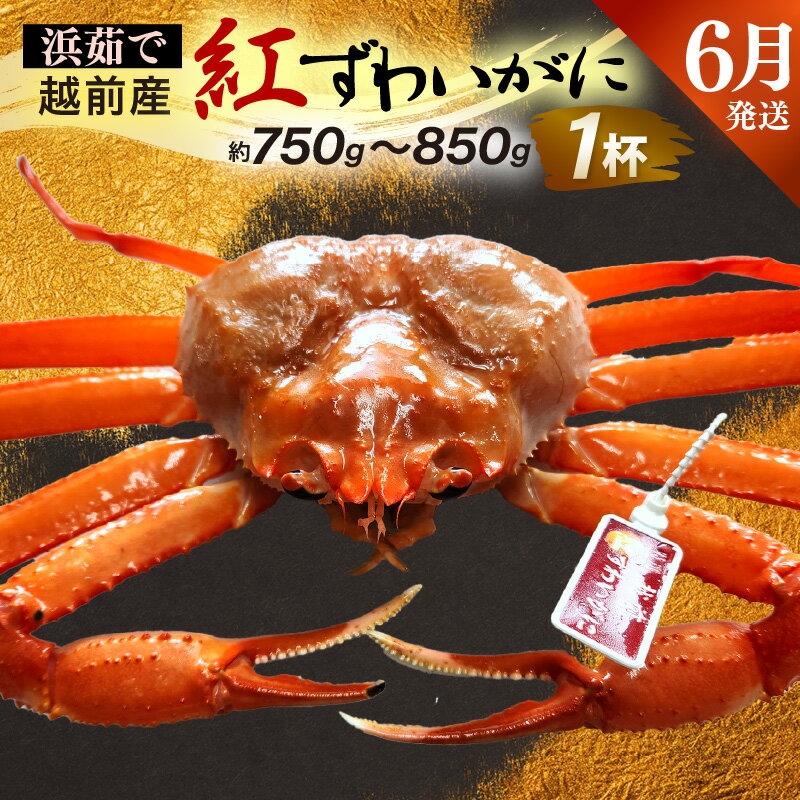 福井県越前町の画像2