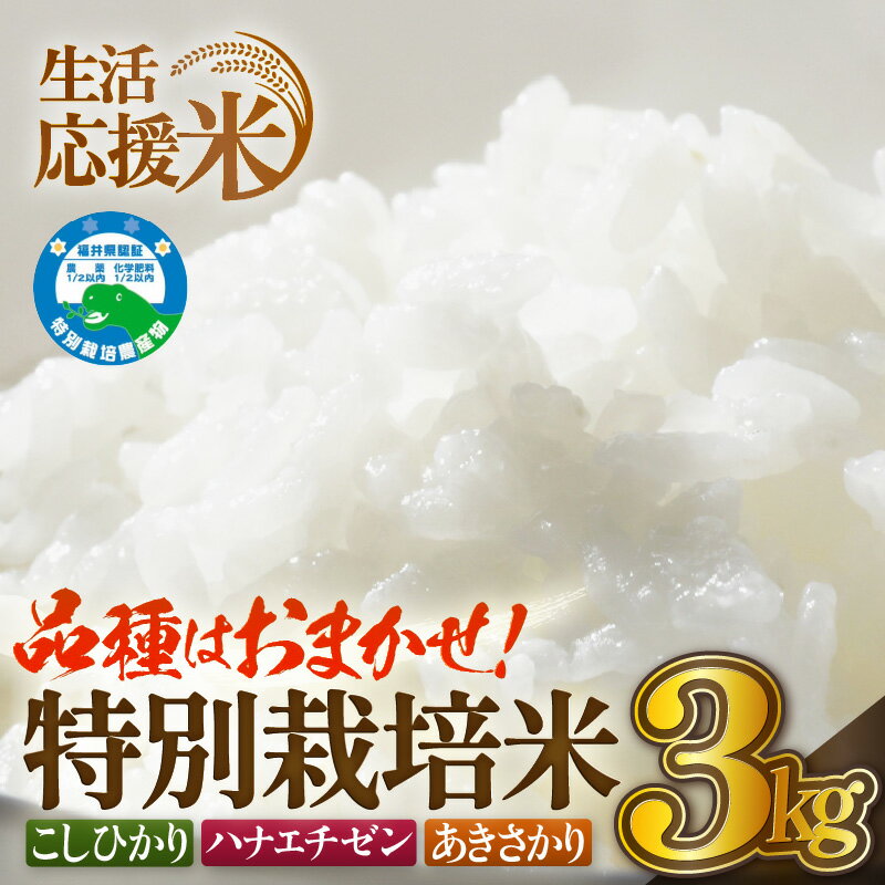 【ふるさと納税】【生活応援米】令和7年産 米 特別栽培米 3kg 福井県越前町産【選べる精米方法：白米/玄米】 【お米 コメ kome 3キロ 家庭用 農薬5割減】