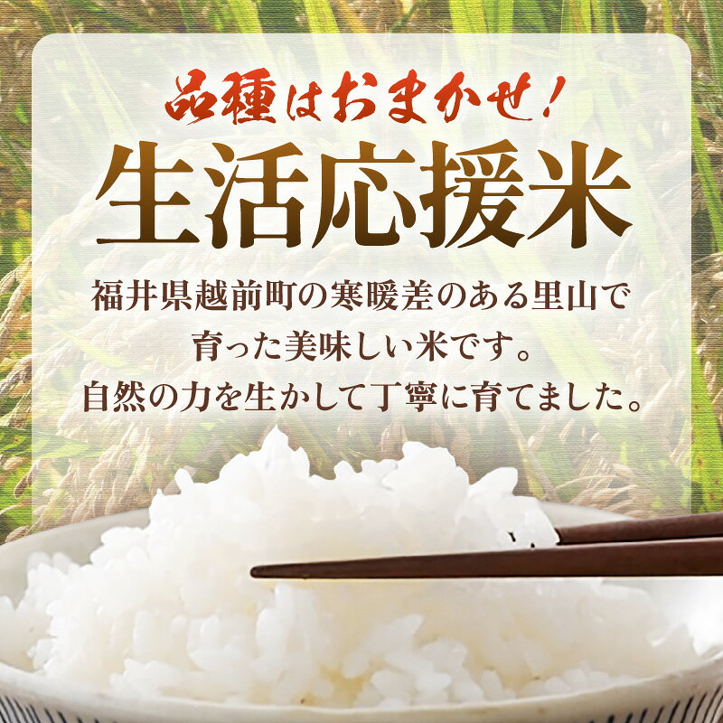 【ふるさと納税】【先行予約】令和8年産 生活応援米 5kg 福井県越前町産【白米】【2026年10月中旬以降順次発送】【お米 コメ kome 5キロ 家庭用】 f184233-echizen-10001760 福井県越前町 サンプル画像3