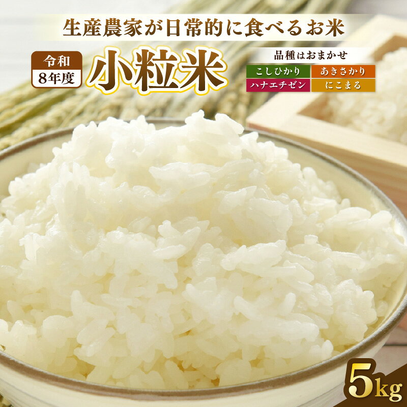 [先行予約]令和8年産 若干小粒米 5kg 福井県越前町産 コシヒカリ・ハナエチゼン・あきさかり・にこまるのいずれか1品種 [白米] 小粒規格米 2026年10月中旬以降順次発送[お米 コメ kome 5キロ]