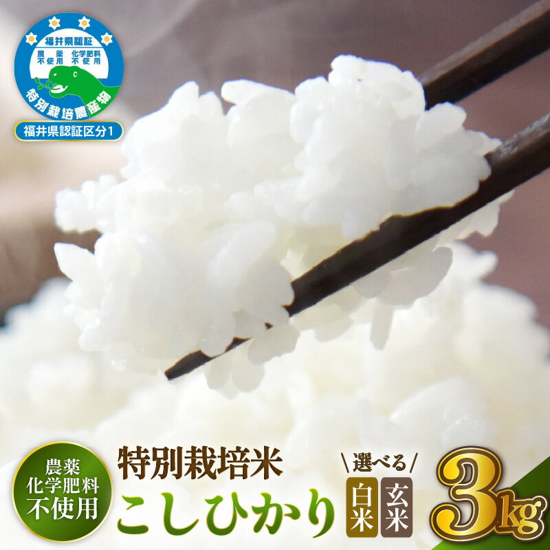 【ふるさと納税】【令和7年産 】 特別栽培米コシヒカリ3kg 無農薬米 福井県認証区分1取得 越前町【選べる精米方法：白米／玄米】【3キロ お米 コメ 農薬化学肥料不使用 送料無料】
