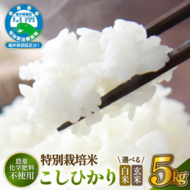 【ふるさと納税】【先行予約】【令和8年産】 特別栽培米コシヒカリ5kg 農薬不使用米 福井県認証区分1取得 越前町【選べる精米方法：白米／玄米】【2026年10月中旬以降順次発送】【5キロ お米 コメ 農薬化学肥料不使用 送料無料】 f184233-echizen-10001764 福井県越前町 サンプル画像2